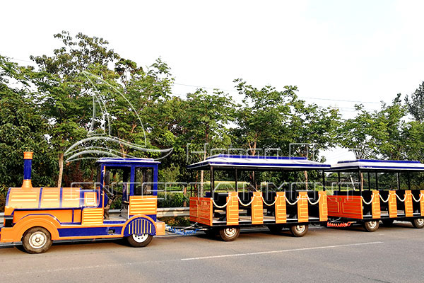 Forest Electric Train Rides for Sale