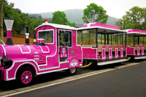 Outdoor Tourist Trains Rides for Sale Outdoor Tourist Trains Rides for Sale