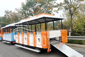 Sightseeing Trackless Train Carriage for Special People