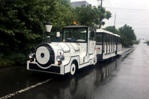 Tourist Electric Train Is Available in Dinis