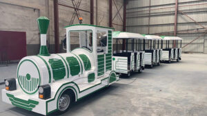 Middle Size Green Trackless Train